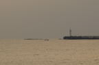 D2008125_035H