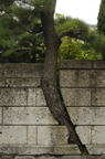 D2008127_002V