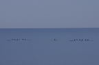 D2008131_050H