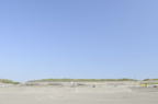 D2008132_066H