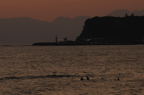 D2008133_105H