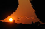 D2008134_113H