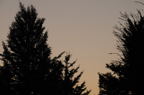 D2008134_149H
