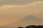 D2008136_065H
