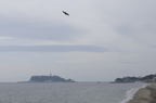 D2008140_041H