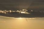 D2008140_045H