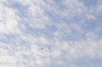 D2008147_040H