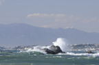 D2008153_010H