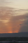 D2008154_060V