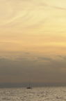D2008157_036V