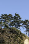 D2008158_078V