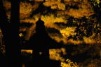 D2008162_257H