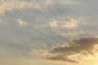 D2008166_130H