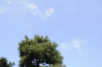 D2008168_015H