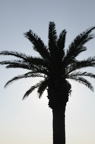 D2008177_002V