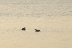 D2008177_057H