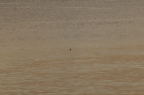D2008183_096H