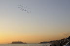 D2008184_200H