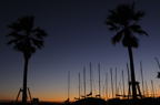 D2008187_085H