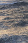 D2008188_013V