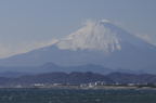 D2008191_026H