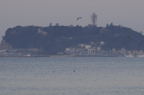 D2008194_047H