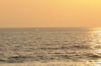 D2008194_139H