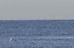 D2009001_064H