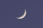 D2009002_185H