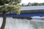 D2009006_005H
