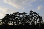 D2009006_116H