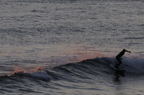 D2009011_044H