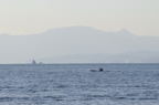 D2009013_024H
