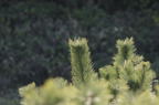 D2009014_006H