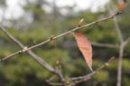 D2009016_004H
