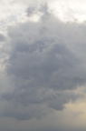 D2009018_081V