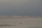 D2009018_093H