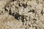D2009019_010H