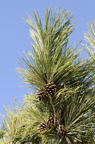 D2009019_019V
