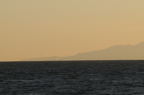 D2009019_057H