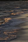 D2009019_061V