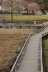 D2009020_054V