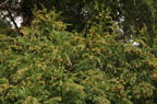D2009020_065H