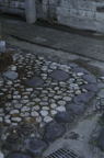 D2009023_005V