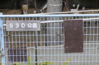 D2009026_006H
