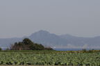 D2009044_042H