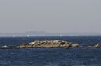 D2009044_050H
