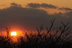 D2009044_110H