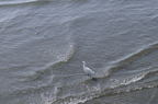 D2009046_008H