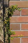 D2009046_023V
